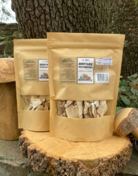 Shiitake-Deshidratada